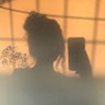 D a n i. profil fotoğrafı