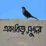 Md Arafat Hossain's profile picture