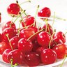 あお🍒💙 profil fotoğrafı