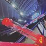 ことね@幸せ継続中's profile picture