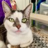 Seattle Laboratory 🇺🇦 🇨🇦 🐈⬛ 🕊️🧬 的头像