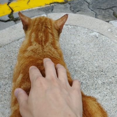 sgskinnydude's profile picture