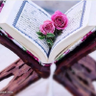 Фото профиля ریاست اطلاعات و فرهنگ غور