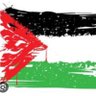 Far4Palestine's profile picture
