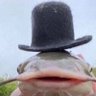 Фото профиля fishyboyat