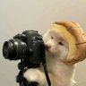 全國第一勇's profile picture