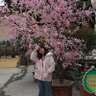 Nguyễn Hồng Nhung 的头像