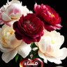 رنده.'s profile picture