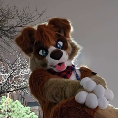 Angus's profile picture