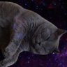 cryptoX_dayz's profile picture