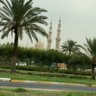 ام محمد's profile picture