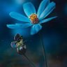 Фото профиля Abram599