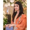 Profilbild von Dr Faiqa Sarfraz