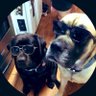 Sven&Belle 的头像