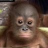 Bero's profile picture