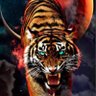 Фото профиля WHATIF