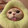大饼同学's profile picture