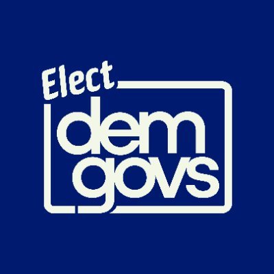 Democratic Governors's profile picture
