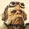 CRYPTO UNCUT GEMS's profile picture
