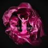 Фото профиля RomansMindofPeaches