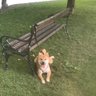 Karma Strikes's profile picture