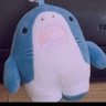 ゆちゃ(ボカロP)🦈's profile picture