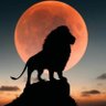 Profilbild von Fun facts