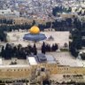 Free Palestine profil fotoğrafı