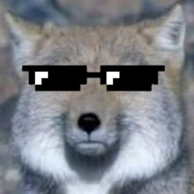 mametaro021399's profile picture