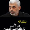 عبدالله همال profil fotoğrafı
