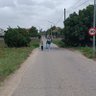 Mariojimy profil fotoğrafı