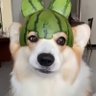 Xun Li's profile picture