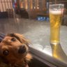 Richie's profile picture