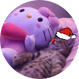 nova's profile picture