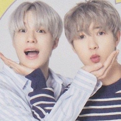 noren loops's profile picture