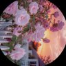 Sarah's profile picture