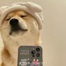 墨言 profil fotoğrafı
