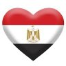 Amro Youssef🇪🇬🇪🇬🇪🇬🇪🇬's profile picture