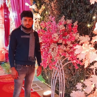 Ramesh Chand Meena's profile picture