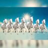 happyworld profil fotoğrafı