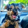 SANDRA's profile picture