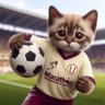 Gato Crema ๐ ็ๅคดๅ