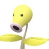 Ducc 的头像