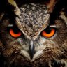 Фото профиля Backhenderl 1882