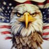 SaveTheNation's profile picture