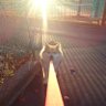 パンチ's profile picture