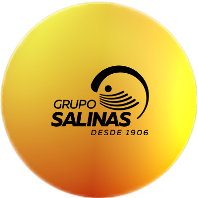 Grupo Salinas's profile picture