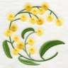 Diana Pegoraro's profile picture