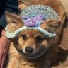 Honey's profile picture