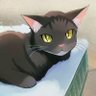 Profilbild von nook. 27